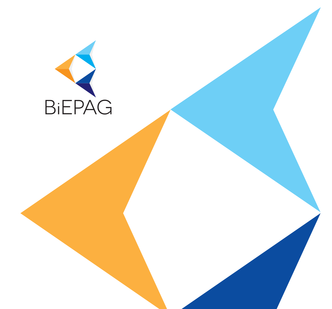Call for Applications: BiEPAG Fellowship 2017-18