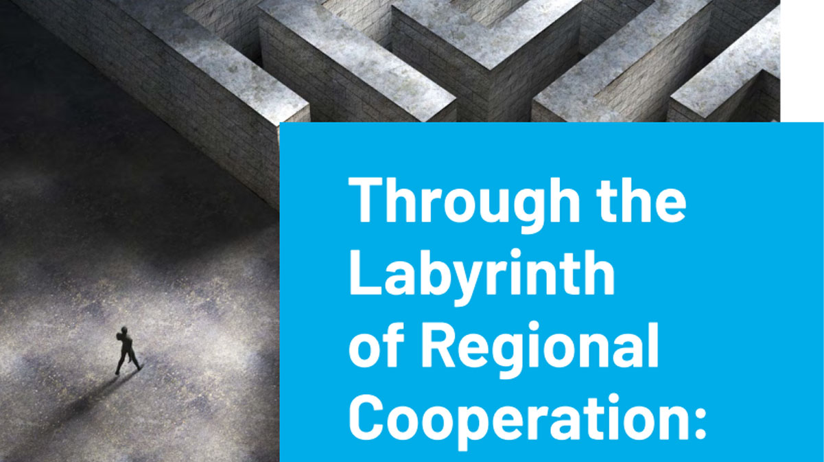 Through the Labyrinth of Regional Cooperation: How to Make Sense of Regional Integration in the Western Balkans